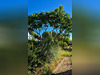 Ma-Cabane - Vente Maison ROYAN, 74 m²