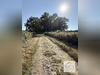 Ma-Cabane - Vente Maison ROYERES, 250 m²
