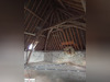 Ma-Cabane - Vente Maison RUILLE SUR LOIR, 111 m²