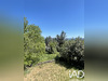 Ma-Cabane - Vente Maison Saint-Étienne-de-Fontbellon, 160 m²