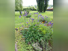 Ma-Cabane - Vente Maison SAINT AGNAN, 150 m²