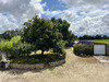 Ma-Cabane - Vente Maison Saint-Alban, 135 m²