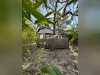 Ma-Cabane - Vente Maison Saint-Alban-Auriolles, 35 m²
