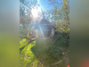 Ma-Cabane - Vente Maison SAINT-ANDRE-D'ALLAS, 177 m²