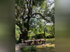 Ma-Cabane - Vente Maison Saint-André-de-Roquepertuis, 360 m²
