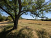 Ma-Cabane - Vente Maison SAINT-ANTONIN-NOBLE-VAL, 131 m²