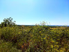Ma-Cabane - Vente Maison SAINT-ANTONIN-NOBLE-VAL, 130 m²