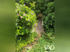 Ma-Cabane - Vente Maison Saint-Aubin-le-Dépeint, 177 m²