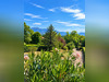 Ma-Cabane - Vente Maison Saint-Blaise-du-Buis, 93 m²