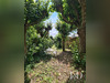 Ma-Cabane - Vente Maison Saint-Chéron, 230 m²