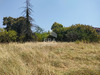 Ma-Cabane - Vente Maison SAINT-CHRISTOLY-DE-BLAYE, 236 m²