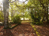 Ma-Cabane - Vente Maison Saint-Claud, 150 m²