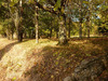 Ma-Cabane - Vente Maison Saint-Claud, 150 m²