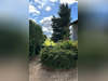 Ma-Cabane - Vente Maison SAINT CLEMENT LES PLACES, 297 m²