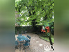 Ma-Cabane - Vente Maison Saint-Cloud, 240 m²