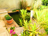 Ma-Cabane - Vente Maison SAINT-CYR-SUR-MENTHON, 164 m²