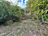 Ma-Cabane - Vente Maison Saint-Cyr-sur-Mer, 56 m²