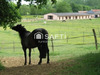 Ma-Cabane - Vente Maison Saint-Denis-sur-Ouanne, 173 m²