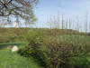 Ma-Cabane - Vente Maison SAINT-DENIS-SUR-SARTHON, 829 m²