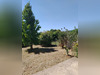 Ma-Cabane - Vente Maison SAINT ETIENNE LES ORGUES, 89 m²