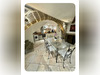 Ma-Cabane - Vente Maison SAINT FELIX DE LODEZ, 83 m²