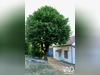 Ma-Cabane - Vente Maison Saint-Firmin-des-Bois, 71 m²