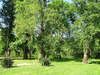 Ma-Cabane - Vente Maison SAINT-FRONT-DE-PRADOUX, 107 m²