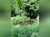 Ma-Cabane - Vente Maison Saint-Fuscien, 240 m²