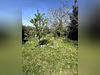 Ma-Cabane - Vente Maison SAINT-GAUDENS, 80 m²