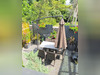 Ma-Cabane - Vente Maison Saint-Georges-de-Didonne, 180 m²