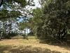 Ma-Cabane - Vente Maison SAINT GEORGES DE DIDONNE, 79 m²