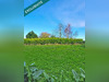 Ma-Cabane - Vente Maison Saint-Georges-de-Grehaigne, 170 m²