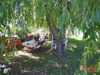 Ma-Cabane - Vente Maison Saint-Georges-Haute-Ville, 220 m²