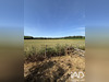 Ma-Cabane - Vente Maison Saint-Georges-sur-Baulche, 78 m²