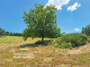 Ma-Cabane - Vente Maison SAINT GERVAIS SOUS MEYMONT, 98 m²