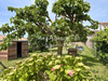 Ma-Cabane - Vente Maison SAINT GILLES CROIX DE VIE, 177 m²