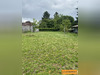 Ma-Cabane - Vente Maison Saint-Gondon, 90 m²