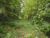 Ma-Cabane - Vente Maison SAINT GOUSSAUD, 154 m²