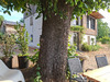 Ma-Cabane - Vente Maison SAINT-HILAIRE-DE-LAVIT, 92 m²