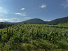 Ma-Cabane - Vente Maison Saint-Hippolyte, 256 m²