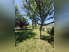 Ma-Cabane - Vente Maison Saint-Hippolyte, 256 m²