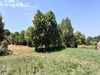 Ma-Cabane - Vente Maison SAINT-JEAN-BREVELAY, 205 m²