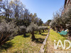 Ma-Cabane - Vente Maison Saint-Jean-Pla-de-Corts, 350 m²