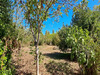 Ma-Cabane - Vente Maison SAINT JEAN POUTGE, 139 m²