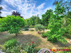 Ma-Cabane - Vente Maison Saint-Junien, 186 m²