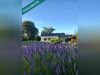 Ma-Cabane - Vente Maison Saint-Justin, 150 m²
