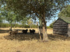 Ma-Cabane - Vente Maison SAINT LAMBERT DU LATTAY, 258 m²