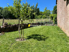 Ma-Cabane - Vente Maison SAINT-LAURENT-D'OLT, 50 m²