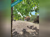 Ma-Cabane - Vente Maison Saint-Laurent-Medoc, 140 m²