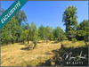 Ma-Cabane - Vente Maison Saint-Leger-Bridereix, 155 m²